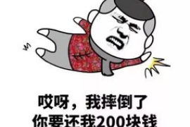 囊谦要账公司更多成功案例详情